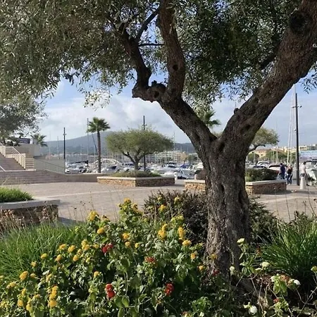 Sm330-241 Maxime 2 Pièces 4 Couchages Appartement *